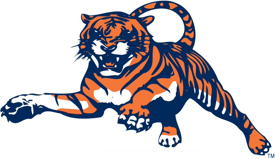 Auburn Tigers 1982-1997 Alternate Logo iron on transfers for clothing